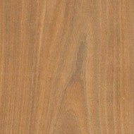 アフロモシア アフロモシア