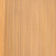 アガチス アガチス