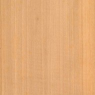 サテンシカモア サテンシカモア