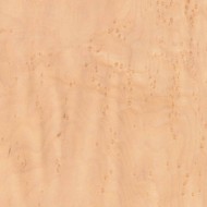 バーズアイメープル バーズアイメープル