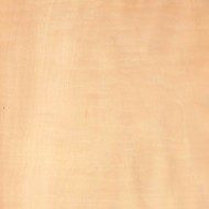 カーリーメープル カーリーメープル