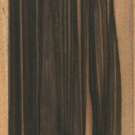 コクタン コクタン