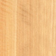 モビンギー モビンギー