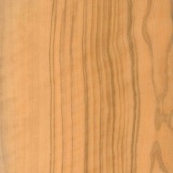 オリーブ オリーブ