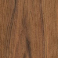 パープルウッド パープルウッド