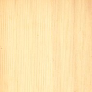 スプルース スプルース