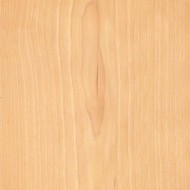 ホワイトバーチ ホワイトバーチ