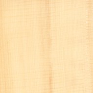 ホワイトシカモア ホワイトシカモア