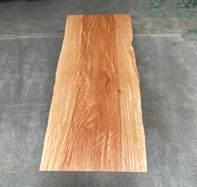 トチ/一枚板/㈱ニューウッド@徳島 トチ/一枚板/㈱ニューウッド@徳島