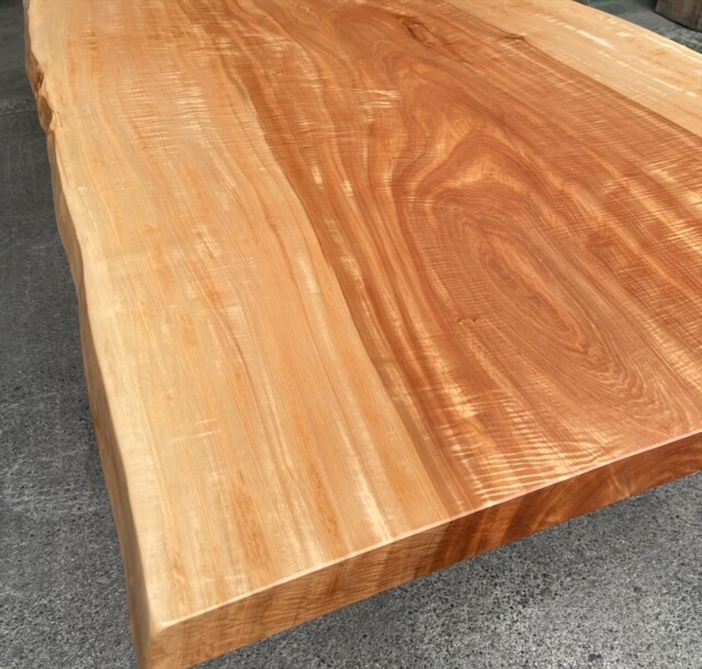 トチ/一枚板/㈱ニューウッド@徳島 トチ/一枚板/㈱ニューウッド@徳島