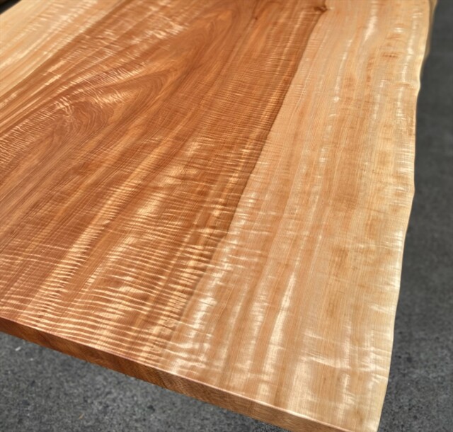 トチ/一枚板/㈱ニューウッド@徳島 トチ/一枚板/㈱ニューウッド@徳島