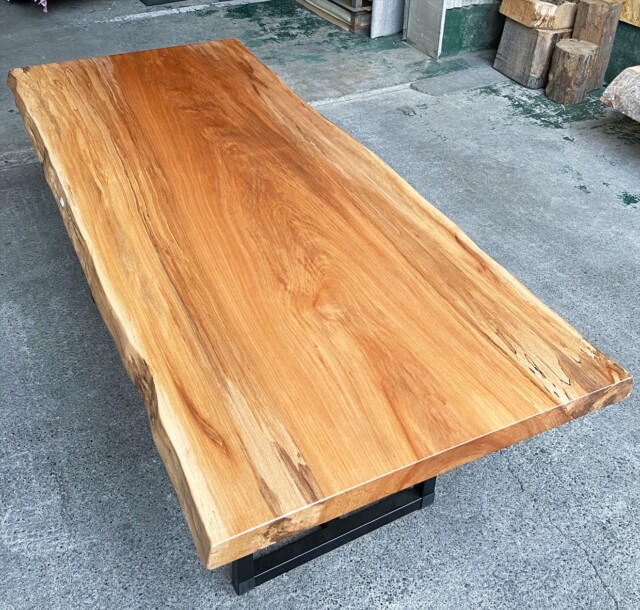 シカモア/一枚板/㈱ニューウッド@徳島 シカモア/一枚板/㈱ニューウッド@徳島